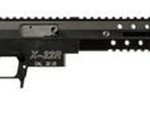 Excel X-Series X-22R .22LR Rifle | Budget AR Trainer