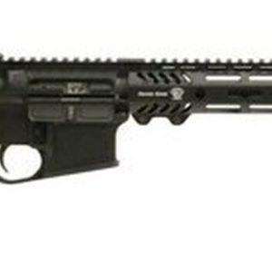 Adams Arms P2 Rifle with Adjustable Block .223/5.56