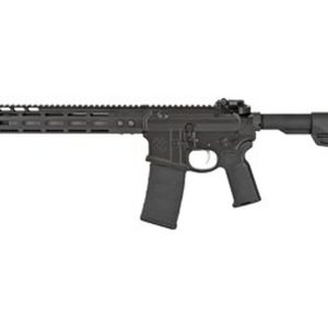 Noveske Infidel 5.56/.223 Rifle with Magpul Sights