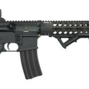 Windham Weaponry AR-15 CDI .223/5.56 Rifle