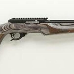 Tactical Solutions X-Ring 22LR Vantage Stock Rifle