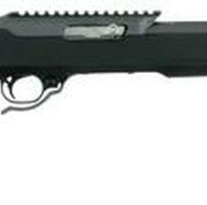 Tactical Solutions X-Ring 10/22 with Magpul Stock