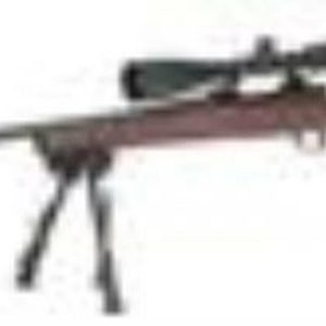 Stag Arms AR-15 5.56 16" Rifle | Budget Ready