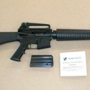 Alexander Arms .50 Beowulf Overmatch Rifle | Firearms Missouri