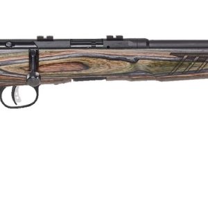 Savage B-Series BNS-SR .22 LR Rifle Review