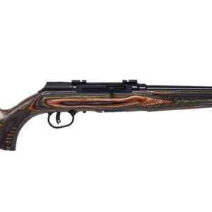 Savage A22 BNS-SR .22 LR Rifle Review