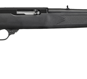 Ruger 10/22 Carbine with LaserMax Laser .22LR