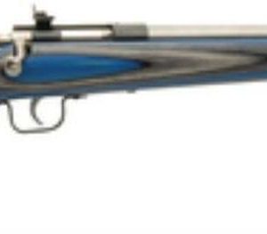 Keystone Crickett 22LR Stainless Blue Laminate Rifle