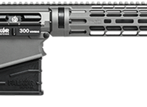 Falkor Petra AR-15 Type Rifle 300 Win Mag