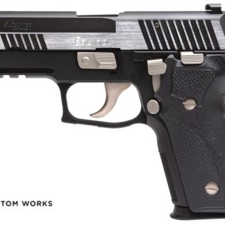 In Stock: P229 Equinox Elite Compact for sale