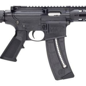Smith & Wesson M&P 15-22 Pistol w/ Brace | .22 LR AR